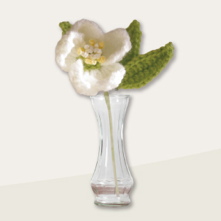 2025keito12xmas rose310