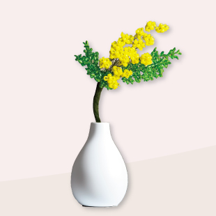 2026beads02mimosa310